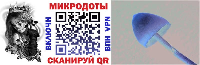 Галлюциногенные грибы мицелий  Хадыженск 